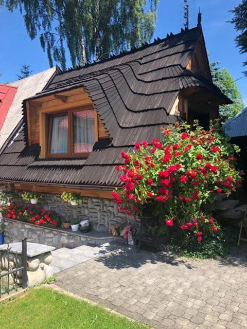 Domek na Harendzie Zakopane Buitenkant foto